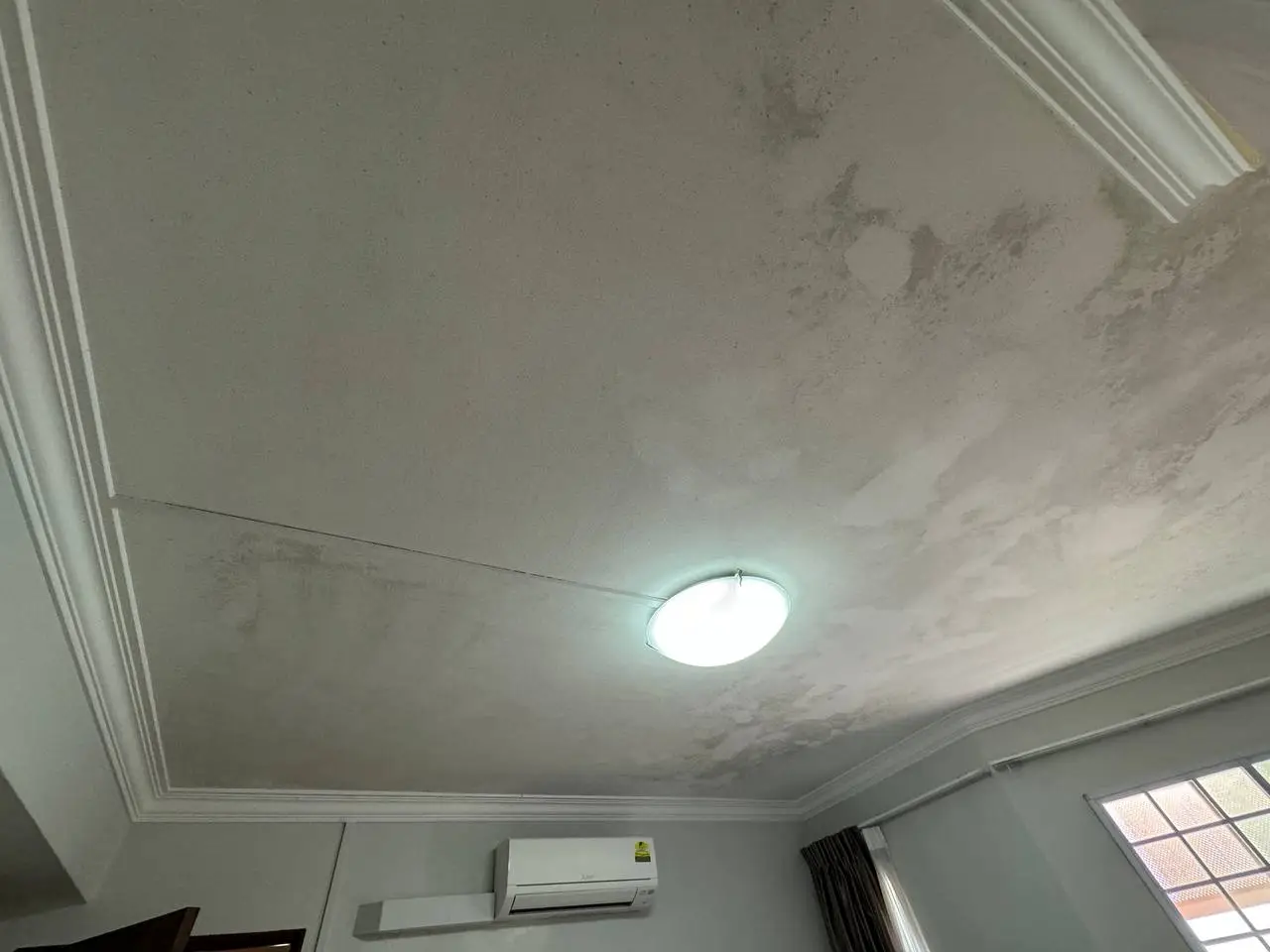 Mold removal