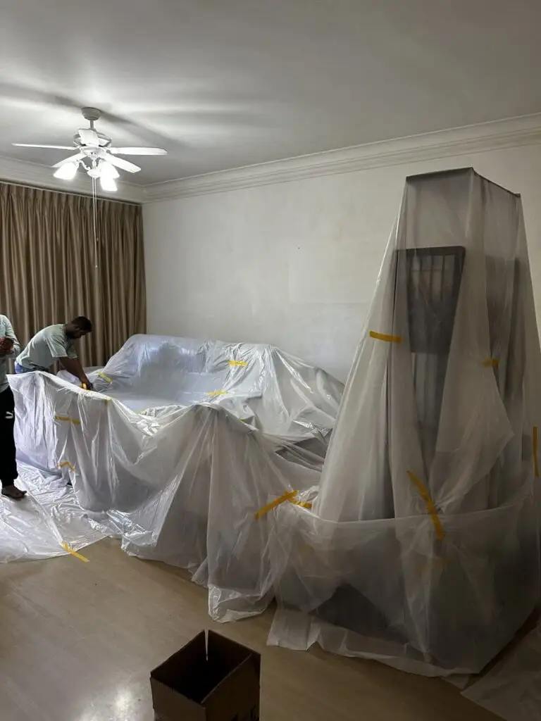 Mold Removal