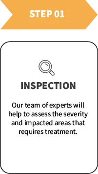 A team of experts will help to assess the severity and impacted areas that requires treatment for mold removal