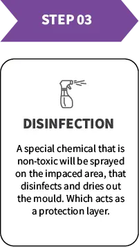 A special chemical that is non-toxic will be sprayed on the impacted area, that disinfects and dries out the mold. Which also acts a protection layer