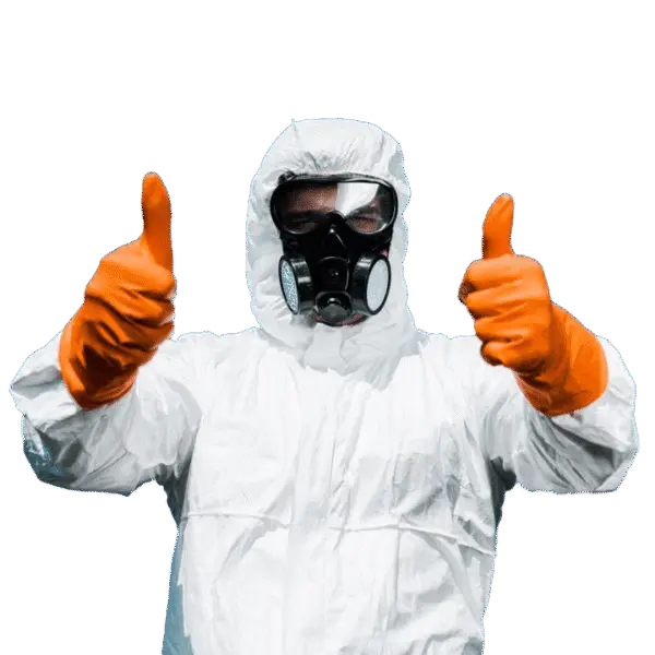 mold removal