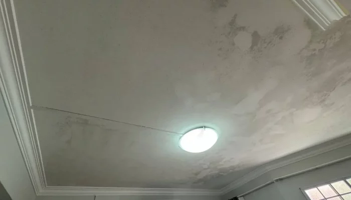 Mold removal